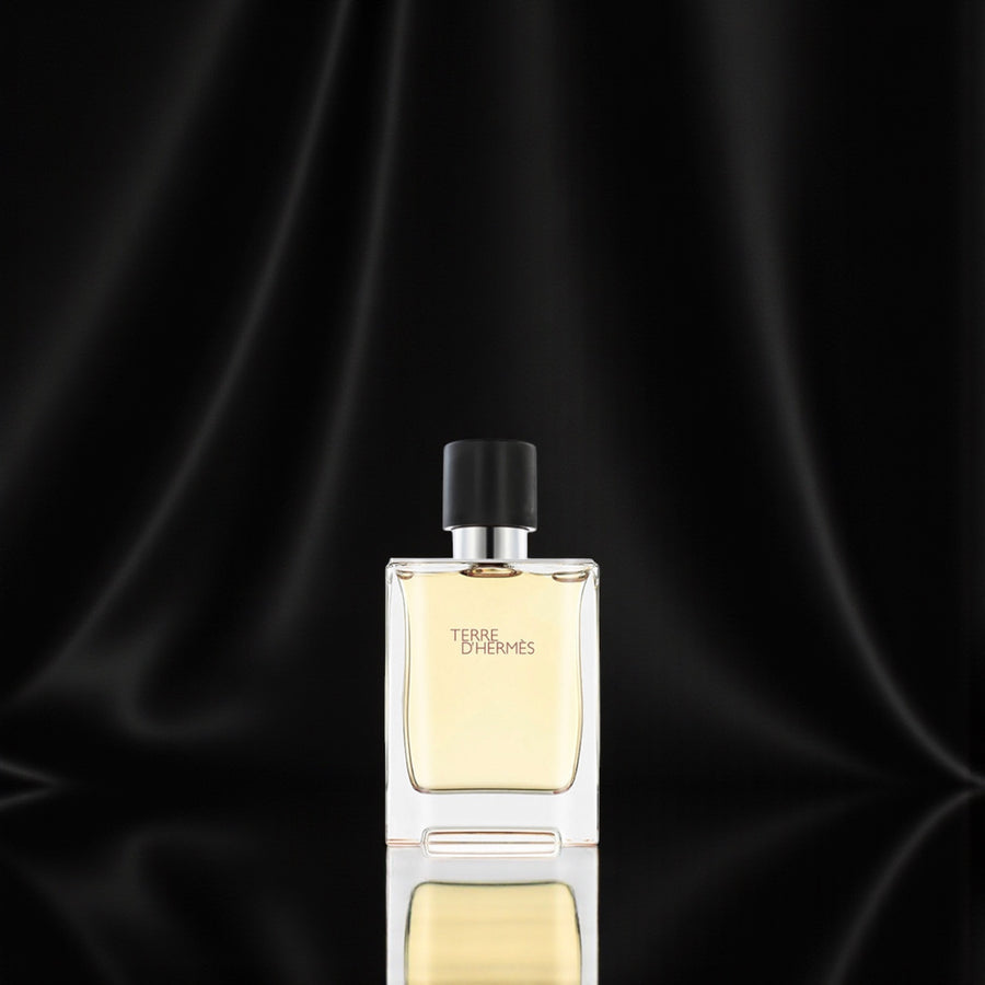 Hermès Terre d’Hermès EDT 100 ml