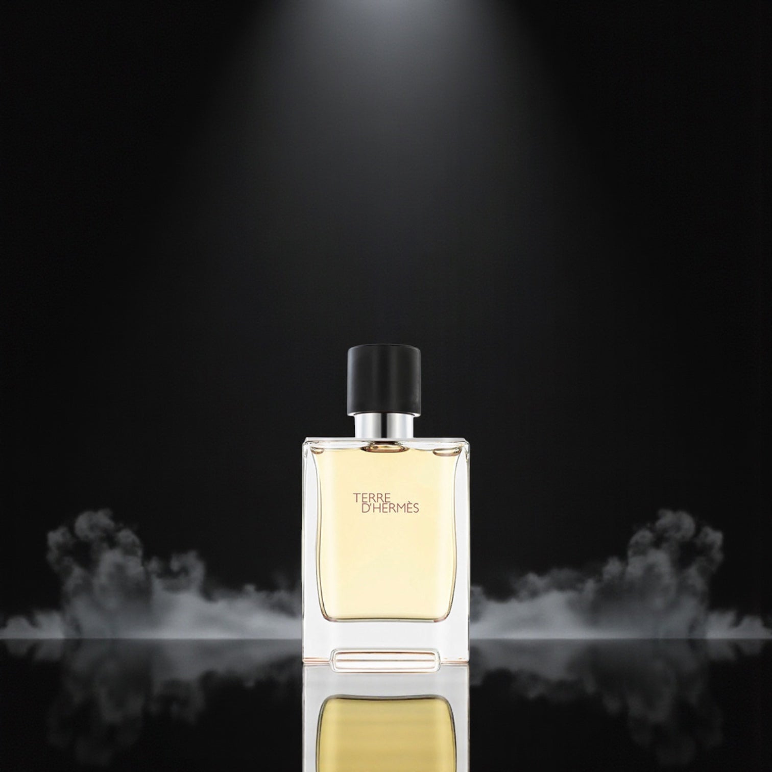 Hermès Terre d’Hermès EDT 100 ml