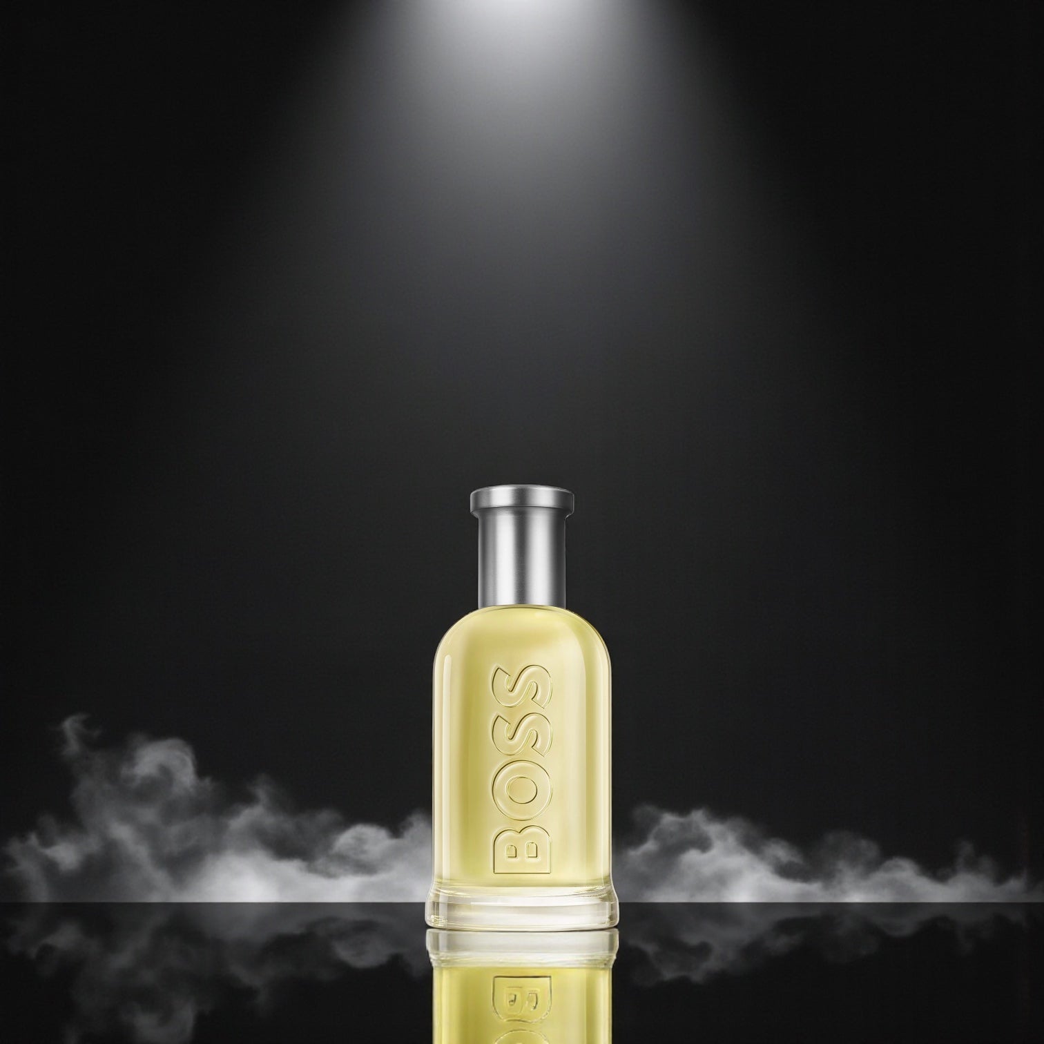 Hugo Boss Boss Bottled EDT 100 ml