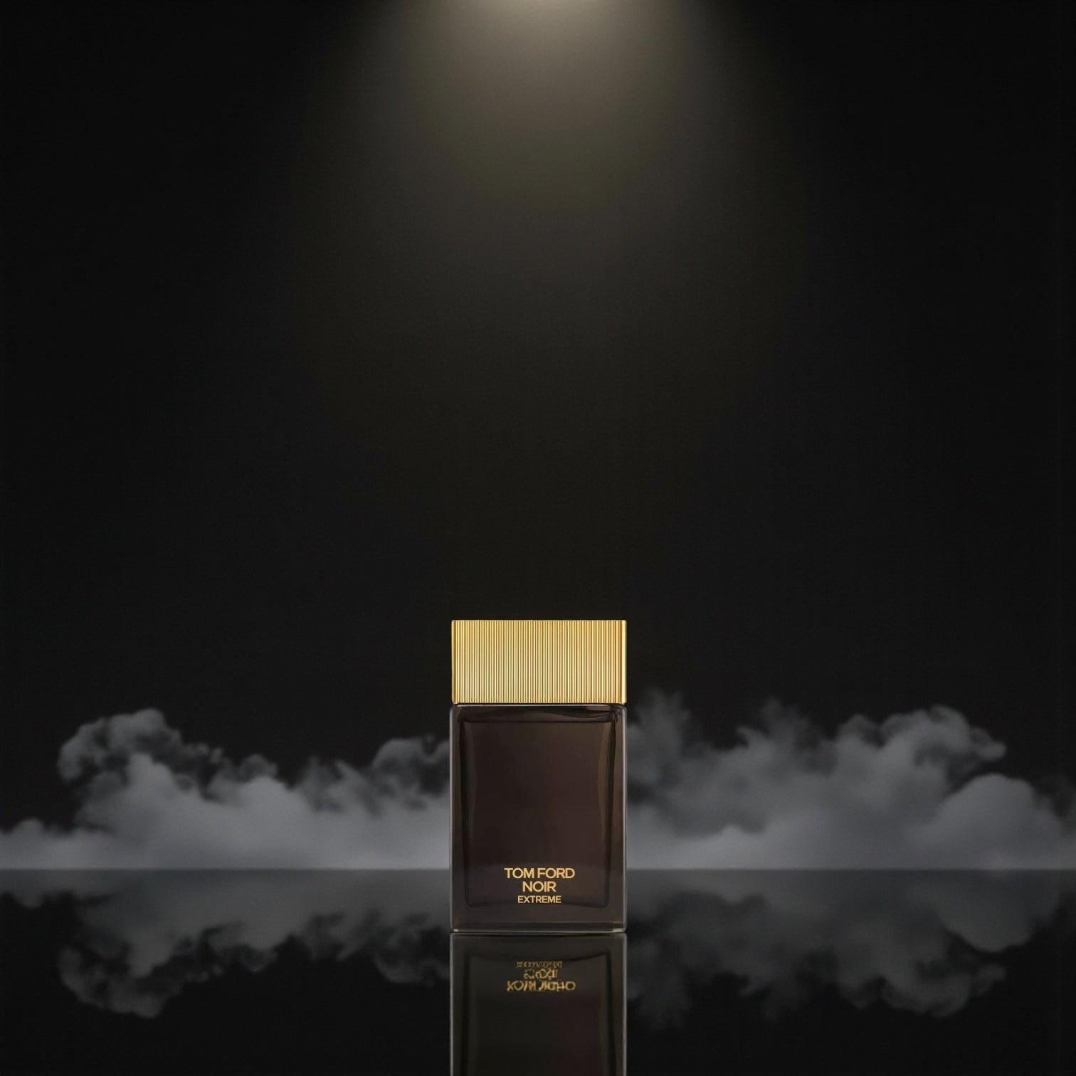 Tom Ford Noir Extreme EDP 100 ml
