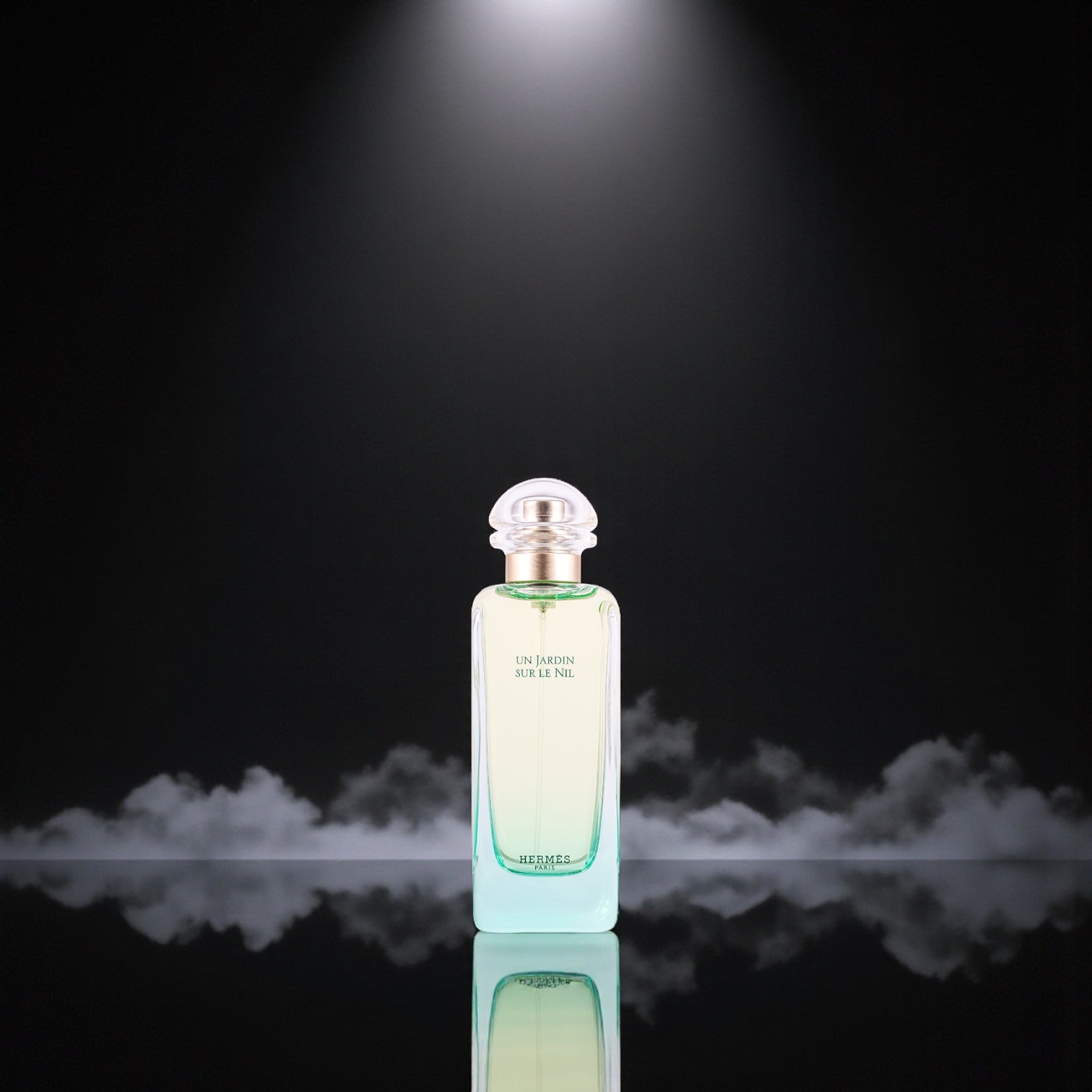 Hermès Un Jardin Sur Le Nil EDT 100 ml